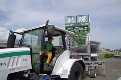 ﾊﾞｯｸｵｰﾗｲ