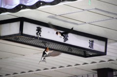 ただいま～おかえり～