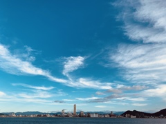 夏の海