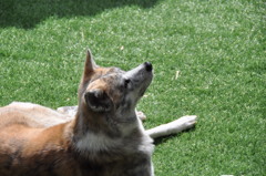 何を考えてる？