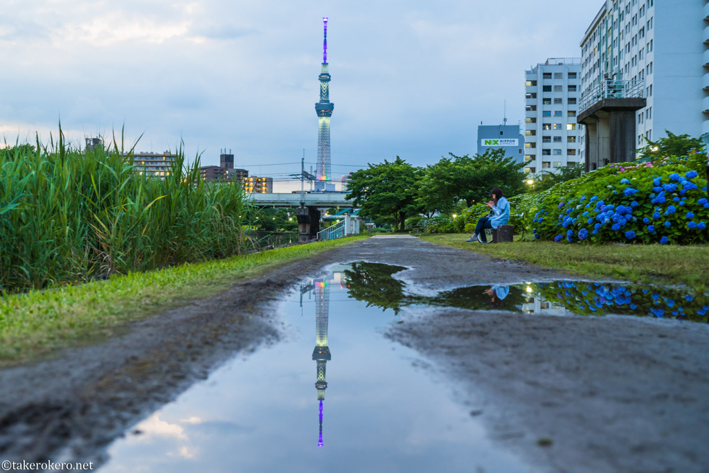 逆さスカイツリー