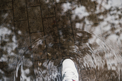 雨の散歩