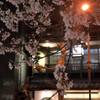 街の桜
