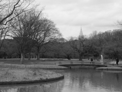 冬の代々木公園