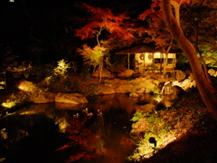 六義園２