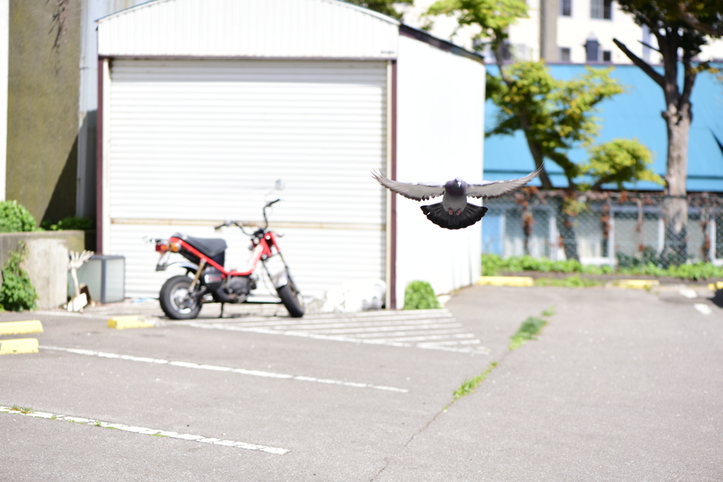ヒｯｯｯ!!!!!