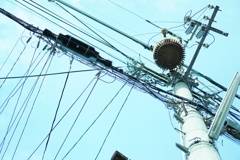 見上げてみた