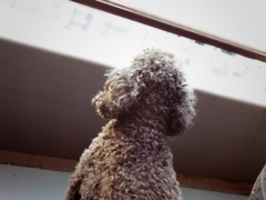 長生きしてね