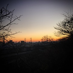 元旦