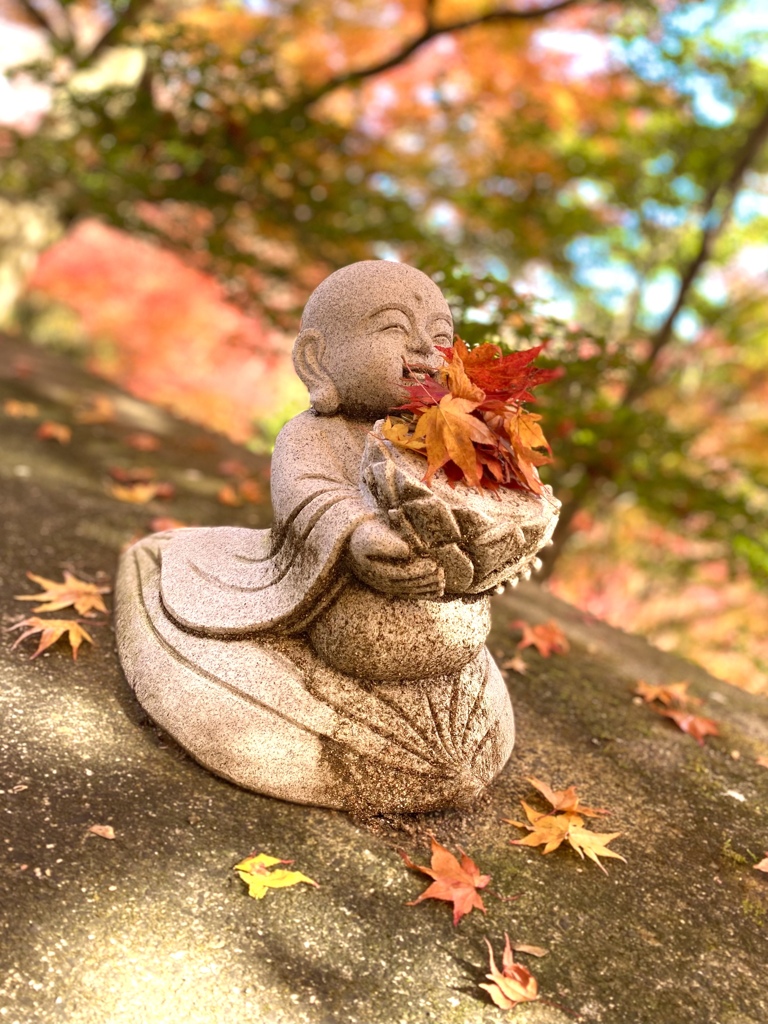 紅葉のお届け