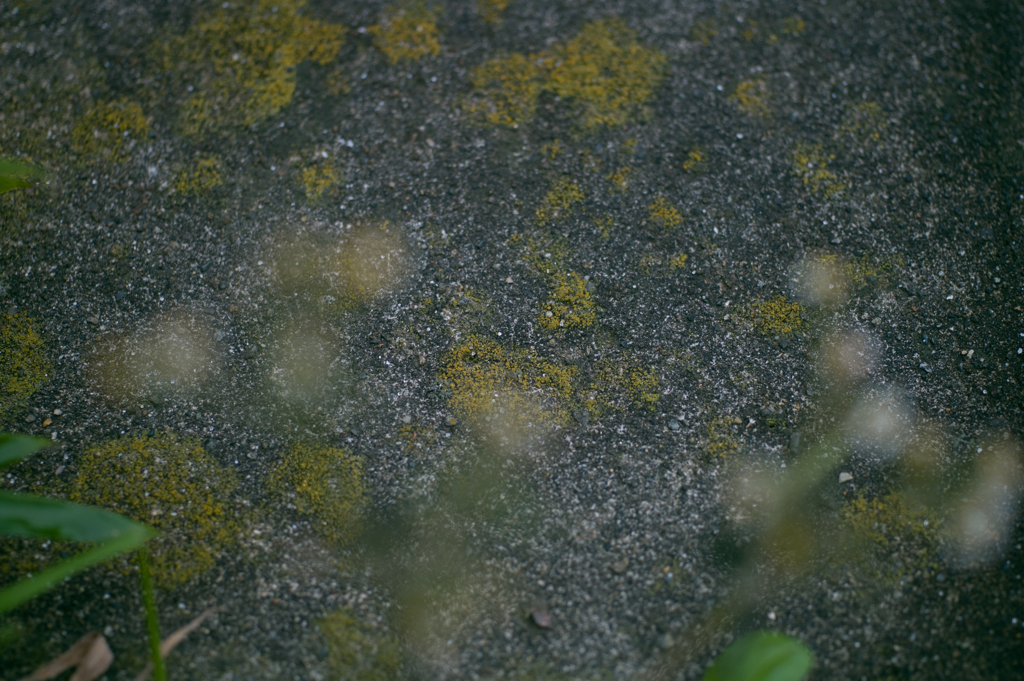 _ICT0039
