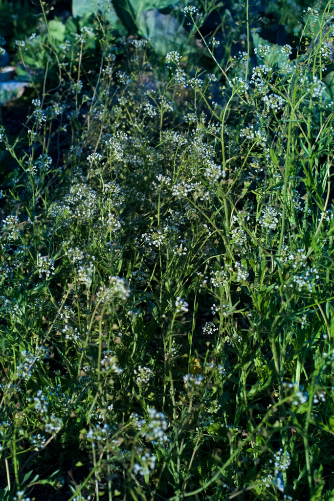 _ICT0011-2