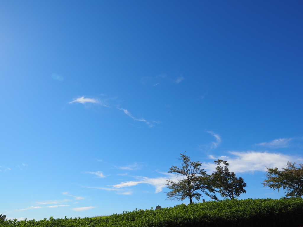 空