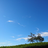 空