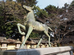 馬