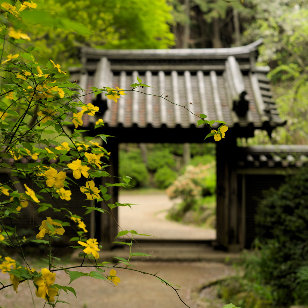 三渓園内縁