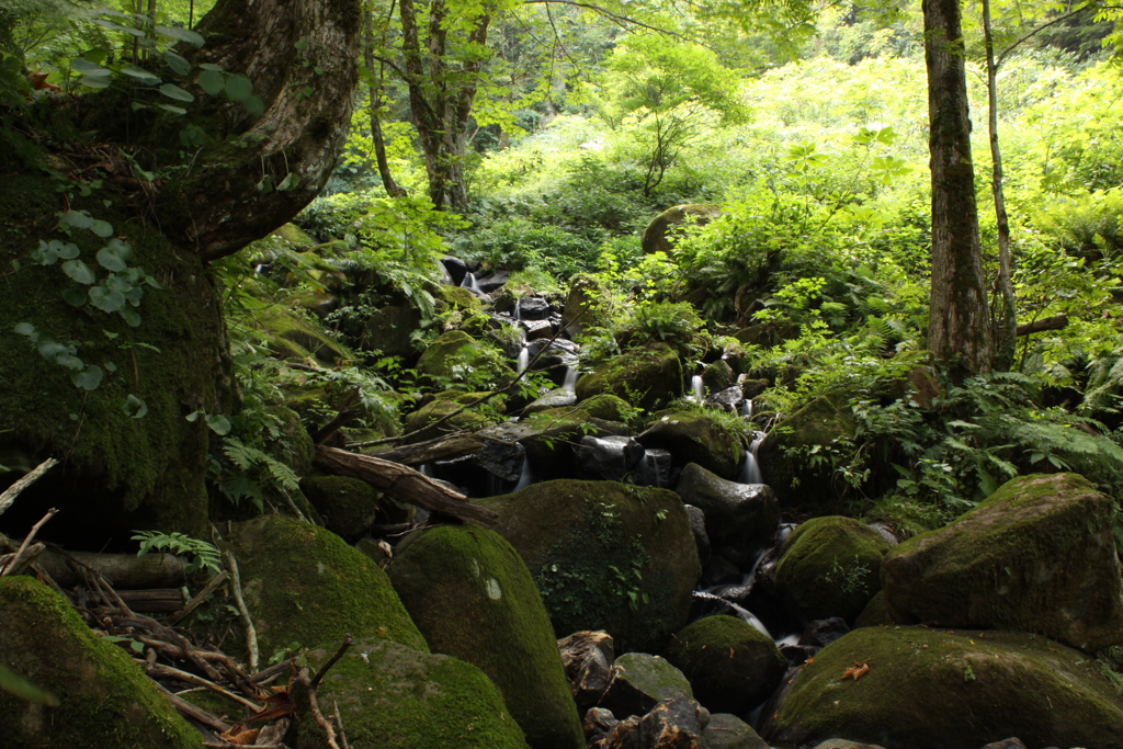 IMG_8201