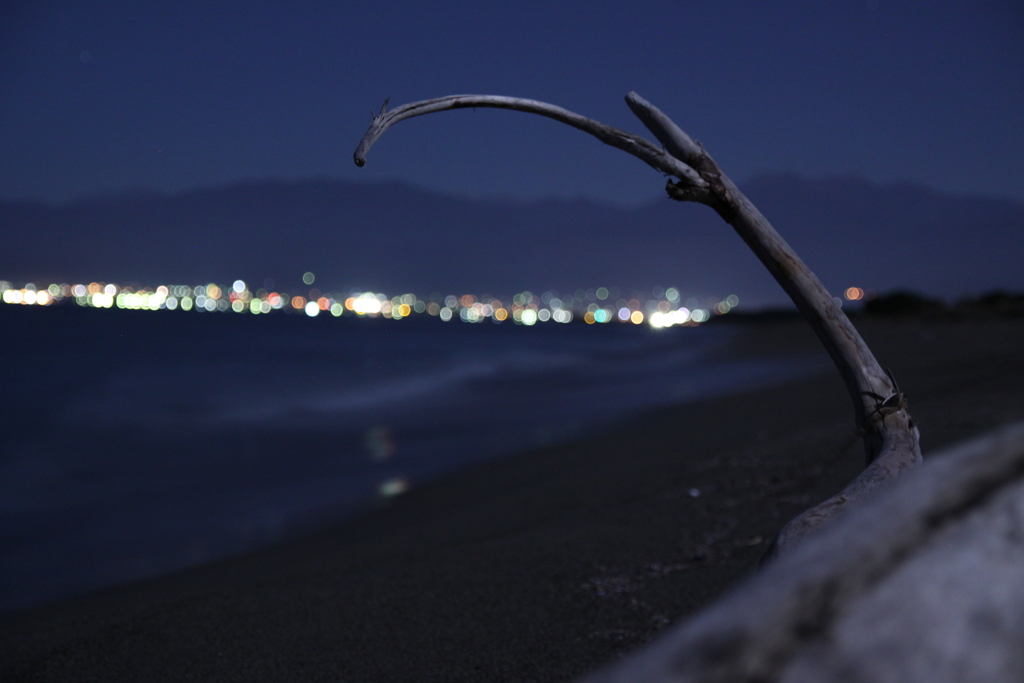 月明かりと流木とキラキラ。