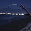 月明かりと流木とキラキラ。