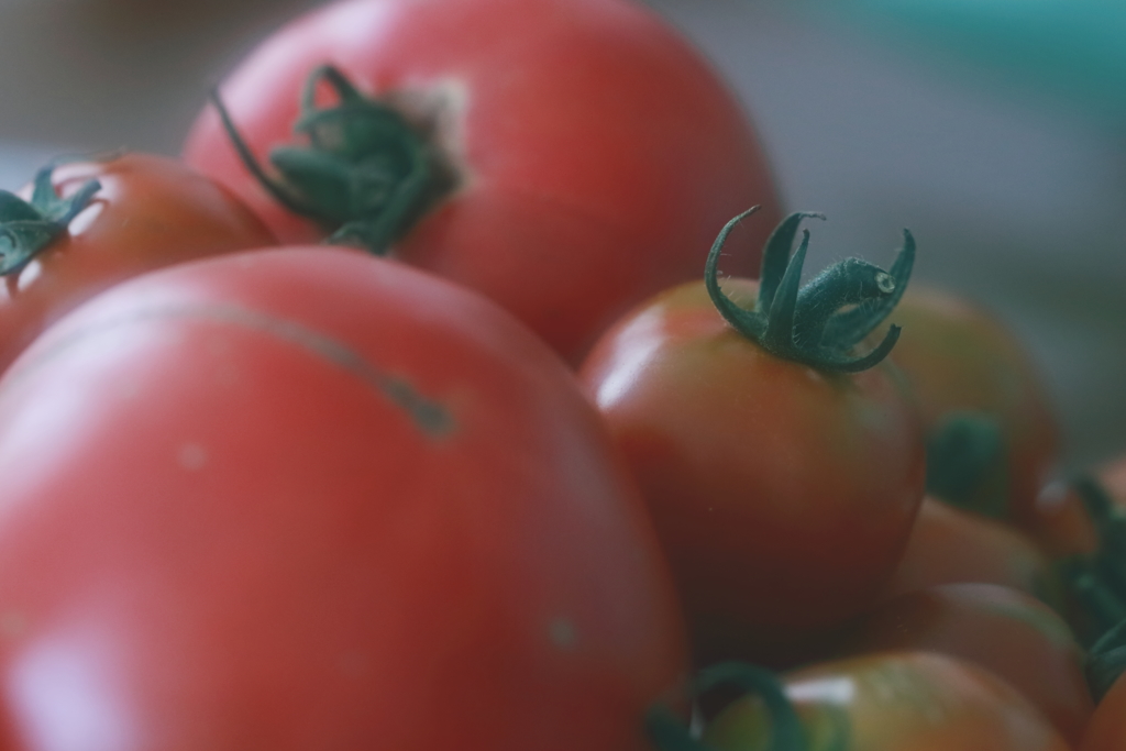 tomato