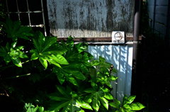 路地裏