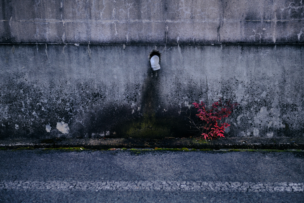 wall