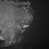 swim