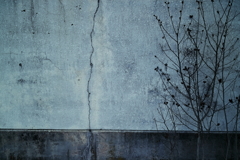 crack in the wall