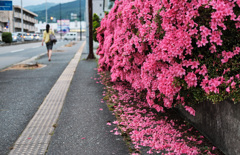 寄り道