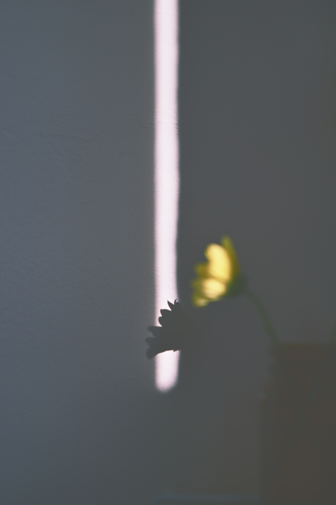 あなたとわたし