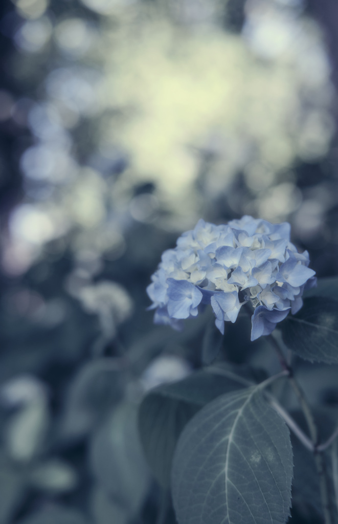 blue