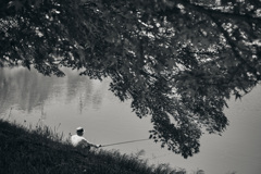 Calm time