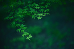 さらり