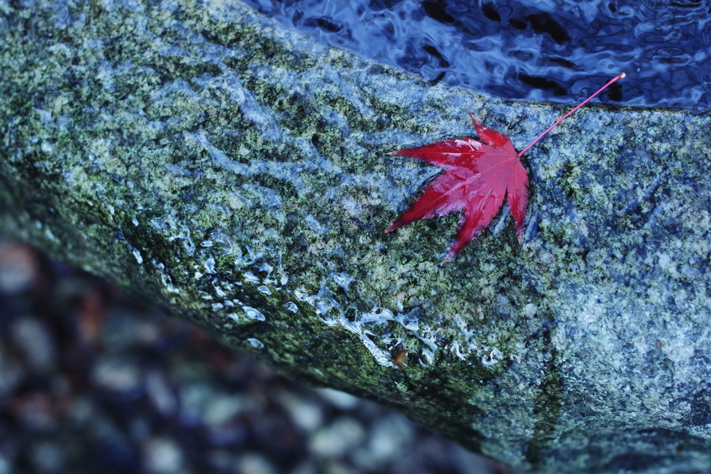 着水