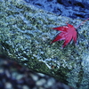 着水