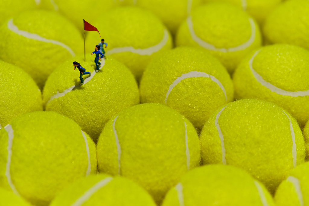 MINIATURE LIFE