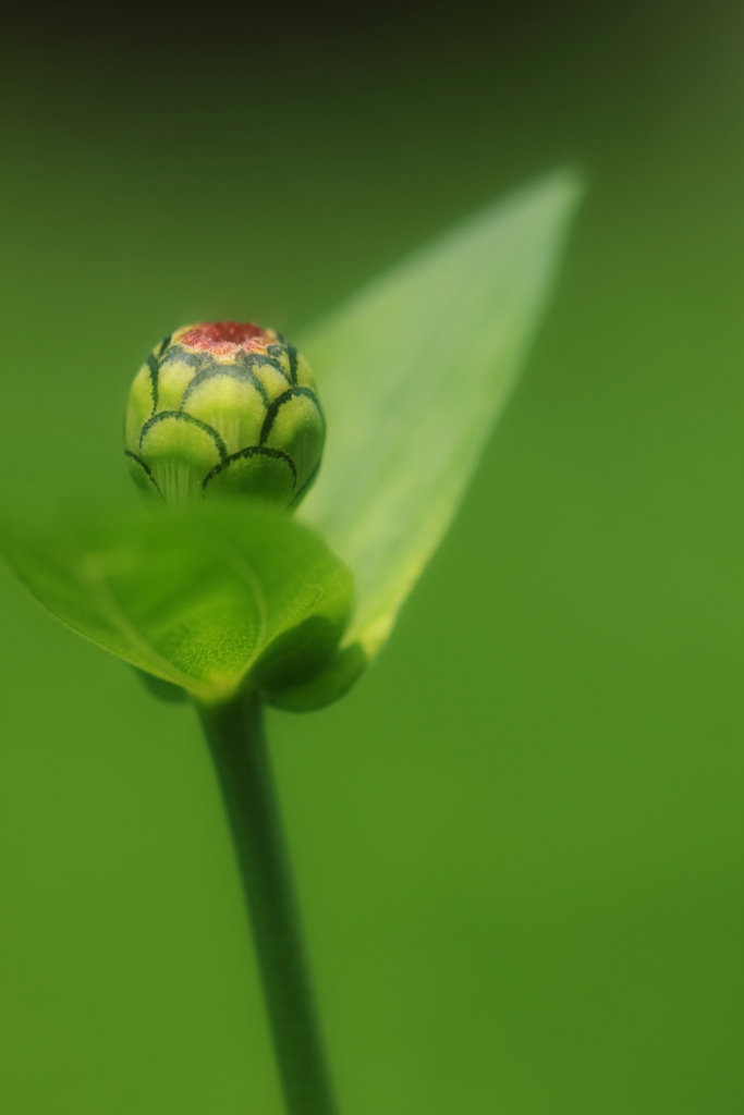 独り