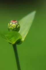 独り