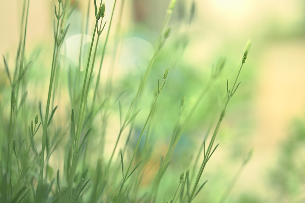 relax by to & （ID：13531611） - 写真共有サイト:PHOTOHITO