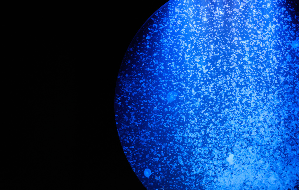 蒼の世界