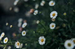 a moment