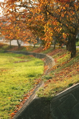 夕散歩