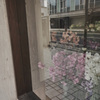 florist
