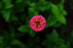 深い意識