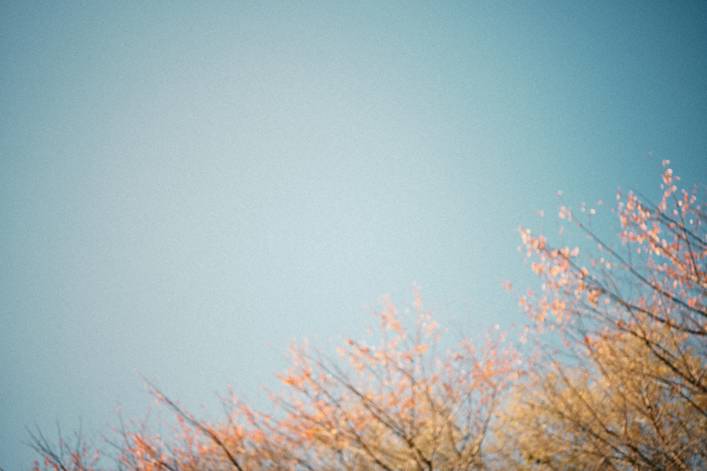 見上げた空は青くて