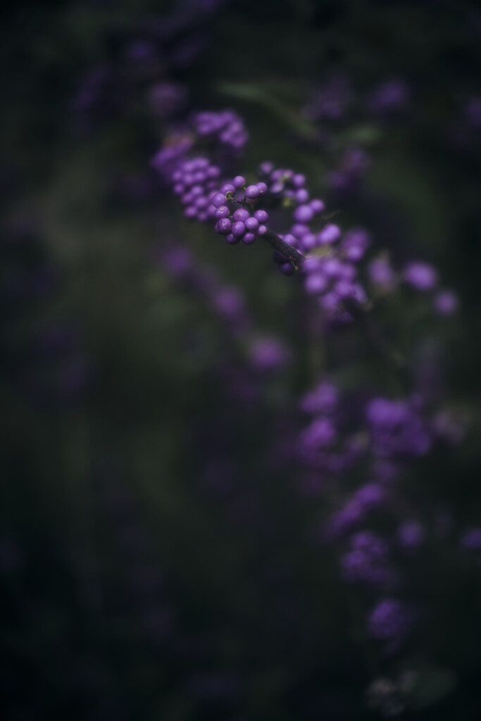 a moment