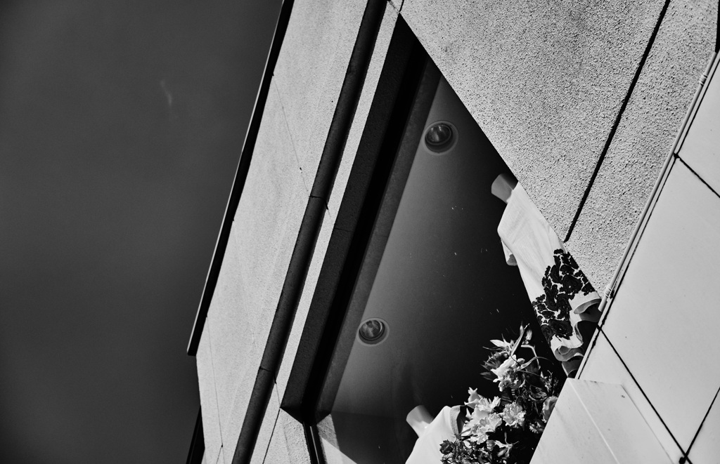 look up at the sky
