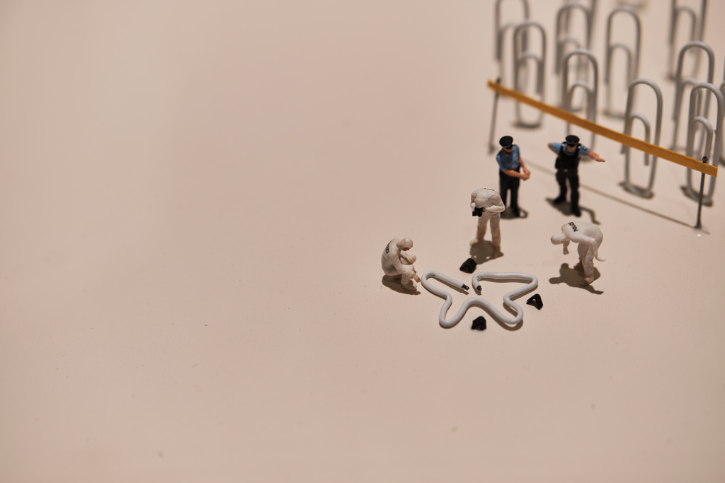 MINIATURE LIFE