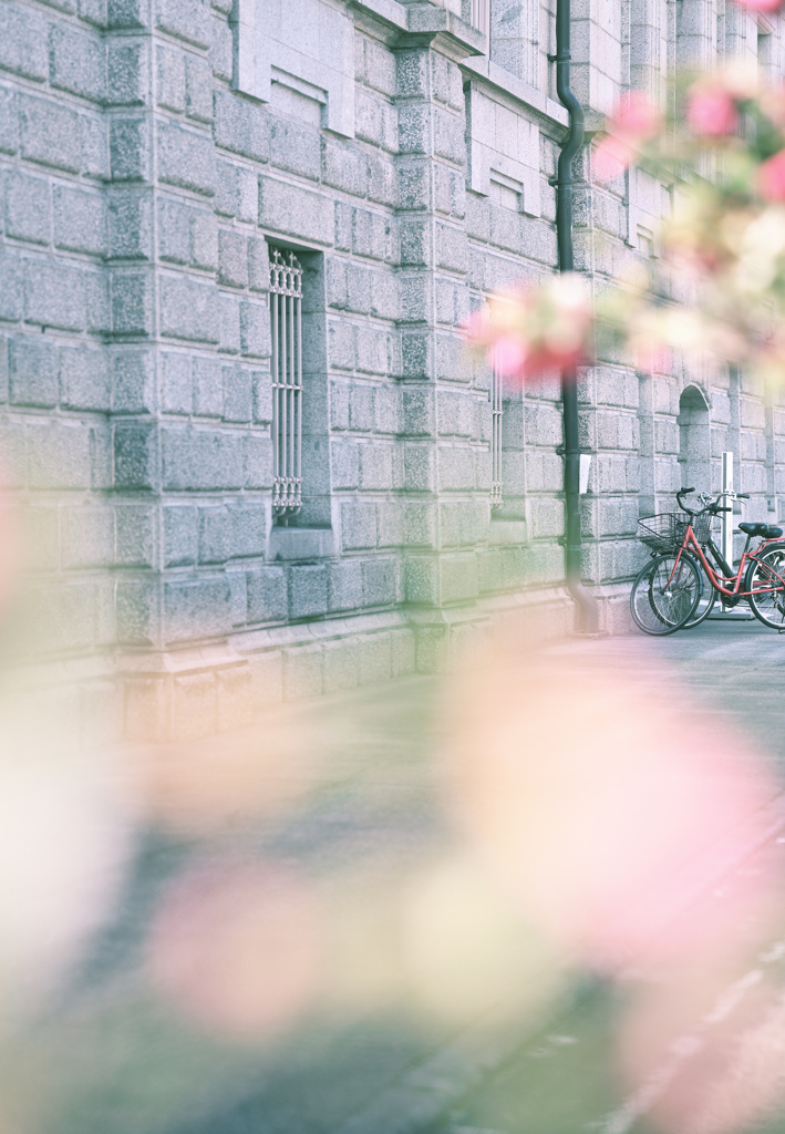 Spring