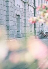 Spring